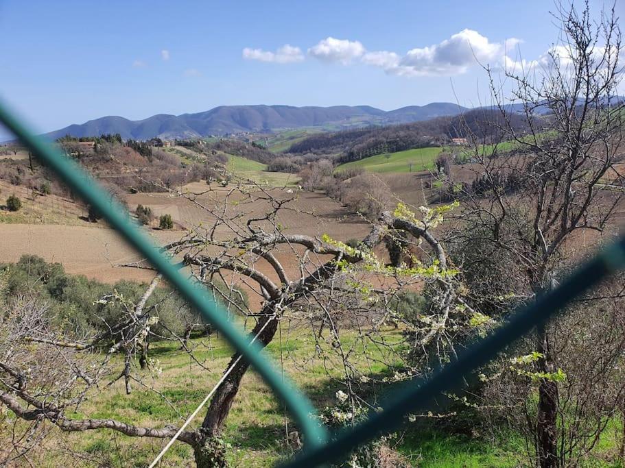 La Quiete Tra Le Montagne Apiro Exterior foto